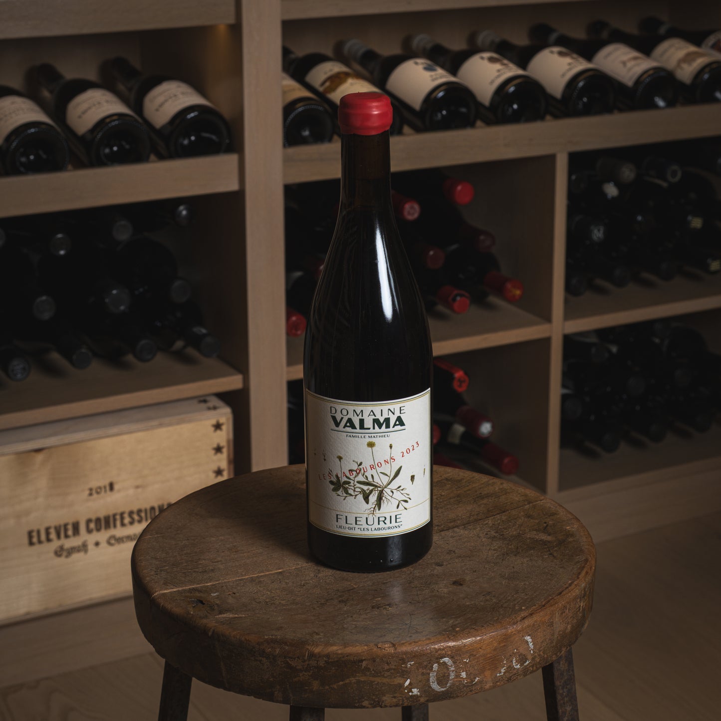 2023 Domaine Valma Les Labourons Gamay (Case of 6)