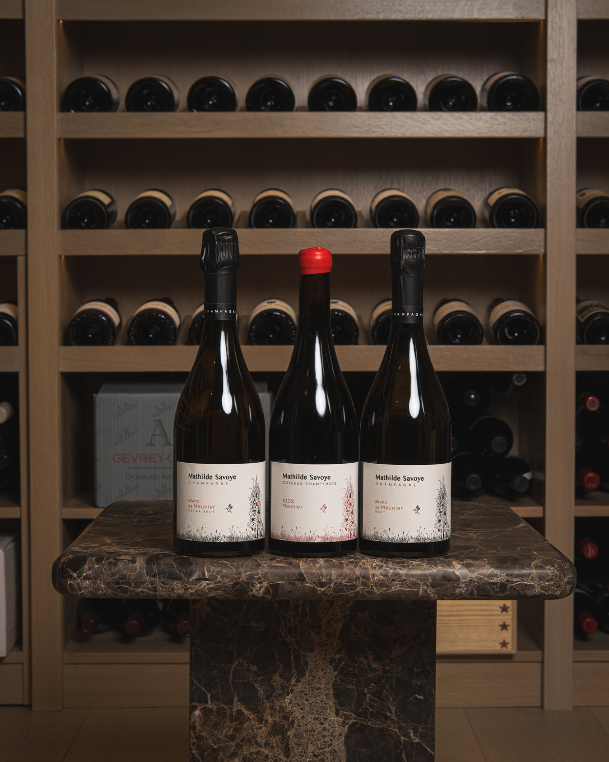 Mathilde Savoye Coteaux Champenois Rouge (Case of 6)