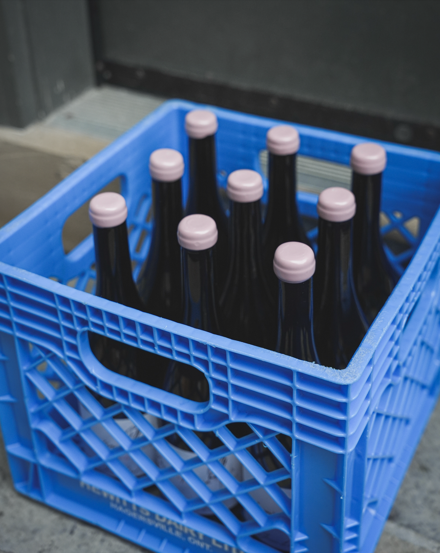 2023 Jessica Litaud Mâcon Fuissé (Case of 6)