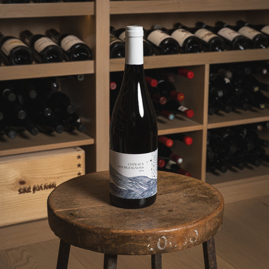 2024 Domaine Didon Coteaux Bourguignons Gamay (Case of 6)