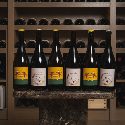 2023 Gustinella Mixed Case (Case of 6)