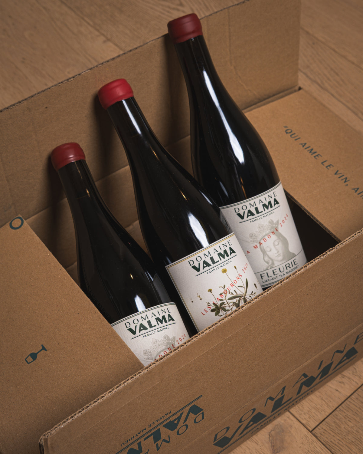 2024 Domaine Valma Les Labourons Gamay (Case of 6)