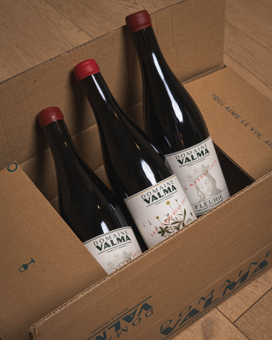 2024 Domaine Valma Mixed Case (Case of 6)