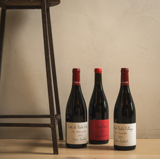 2023 Domaine Antoine Lienhardt Cote De Nuits Villages Rouge “Aux Vignottes” (Case of 6)