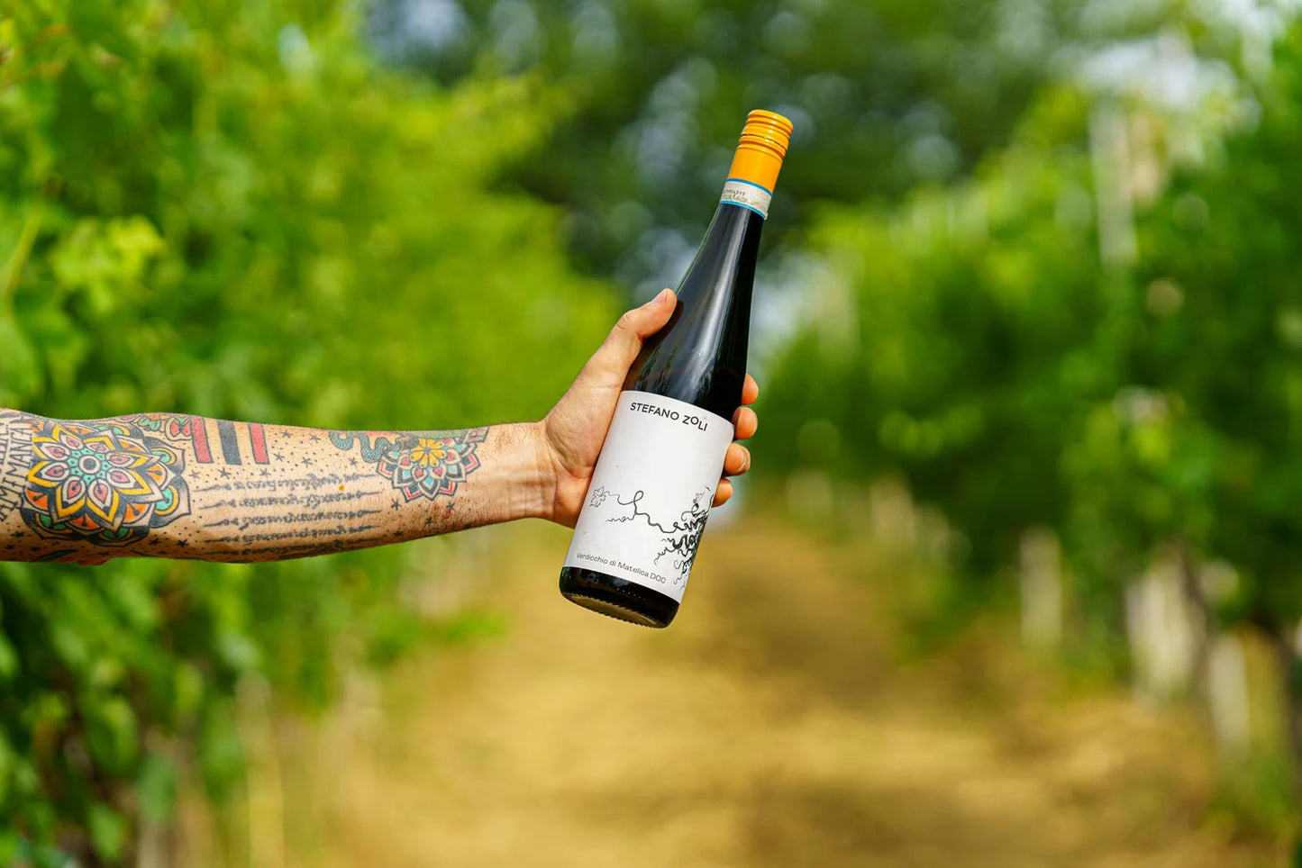 2024 Stefano Zoli Matelica DOC Verdecchio (Case of 6)
